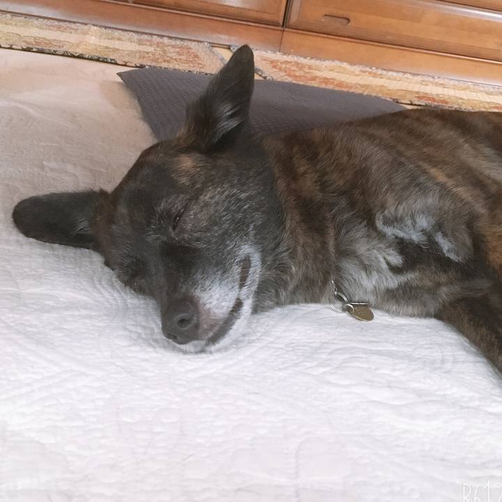 31e04e71 9e07 43e7 a53b ea6493588b2e 1561996886339