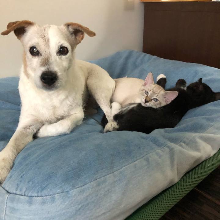 31e0603a 3995 4c2a ab24 f279b6a8776b 1599732181745