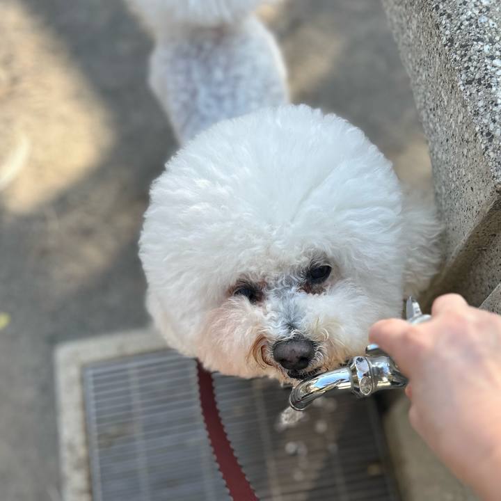 31e06bb2 f039 458d a735 dcd9be4e1d2a 1771831060304