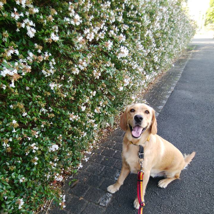 31e081d7 68ba 4c9b a440 a4757d9ef9e3 1536415741980