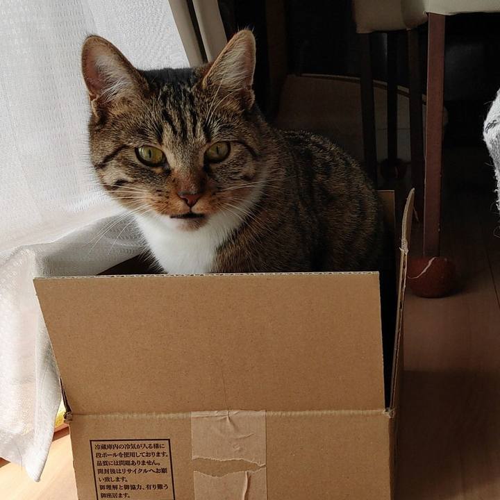 31e088a2 f59b 4b02 89f1 84e79347a6b1 1651024766898