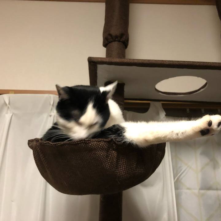 31e09808 d7bb 47bb 8956 ccbb01c02622 1550413596513