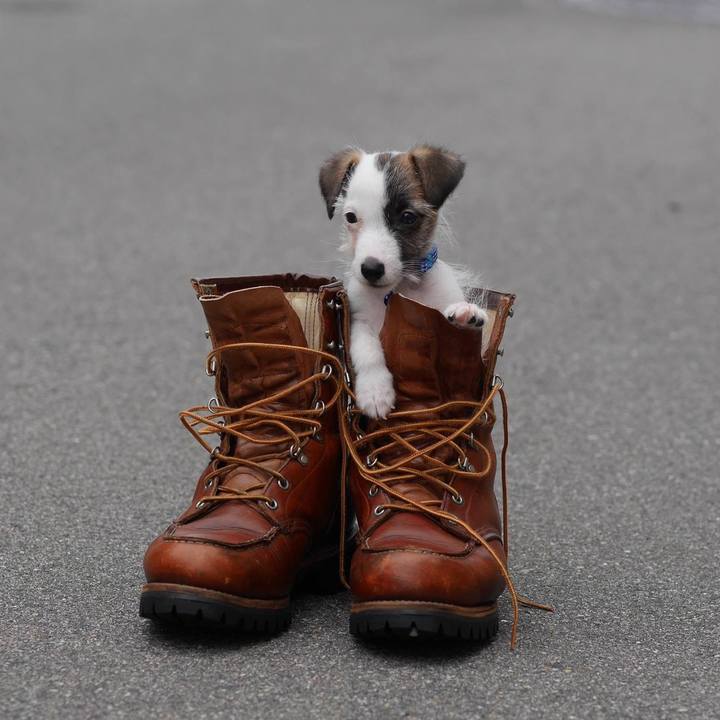 31e0bbcf 46bf 45e5 b00f d4a468a93e8f 1614818604956