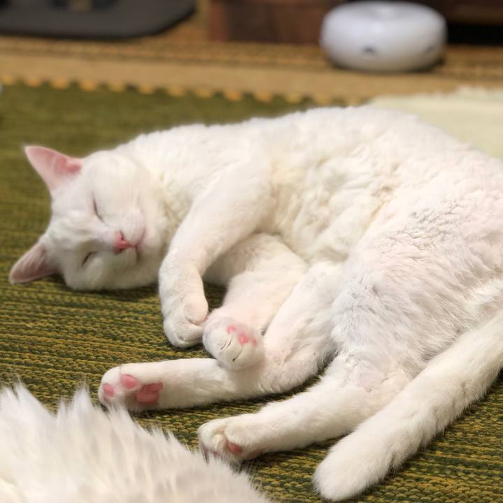 31e0c214 9db6 4a52 8855 61f00ef57591 1563175959668