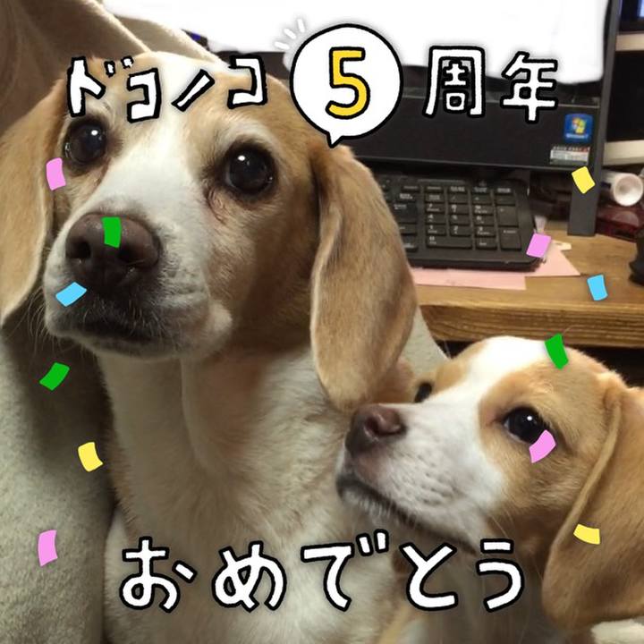 31e0c6f4 2264 4cd5 8db9 8e99fb70c02e 1622911810197