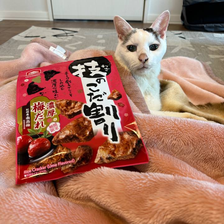 31e0d11a 848e 403d 93f8 566df76e8e95 1770786768077