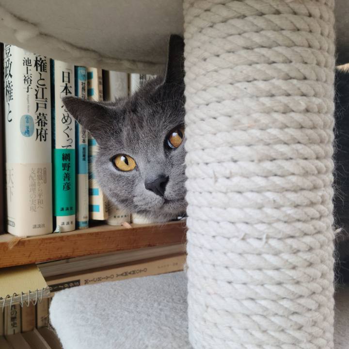 31e0debc cf2e 4b2e 8dd0 910cb1860d9b 1651823471584