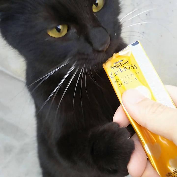 31e0f3d7 6793 44db 8d07 3df3a0be6932 1551478366609