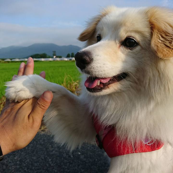 31e10abf 517b 4742 a70d bb36d7d7e163 1760406896754