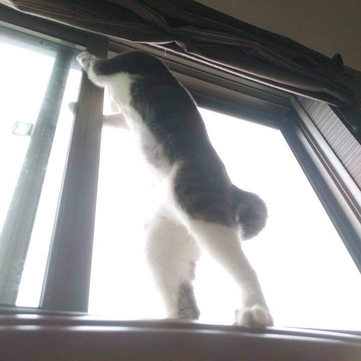 31e10e3e bb5a 4101 93c9 81d8f0d6dbce 1593476812015