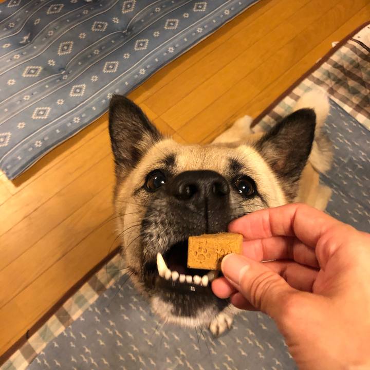 31e1180c 5230 442c 8b99 c3f7366ca5f6 1563794840578