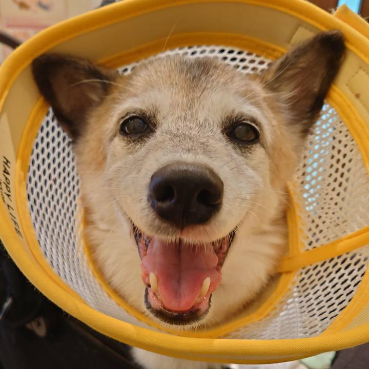 31e13843 4156 4813 b753 6c69b16b3167 1762404155097