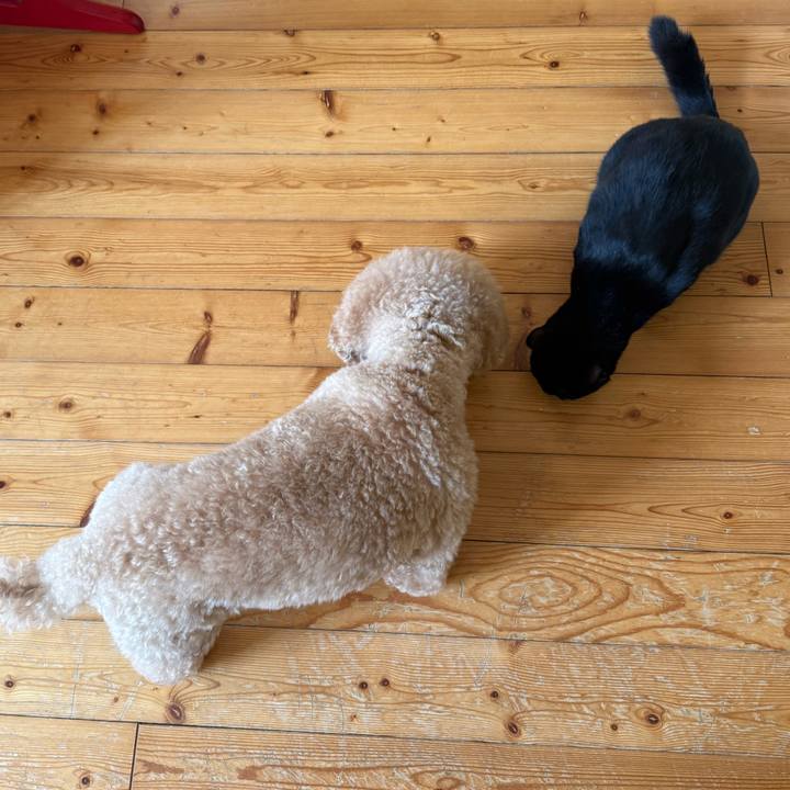 31e17f99 162e 49b5 9b95 def0b88a4458 1762298428754