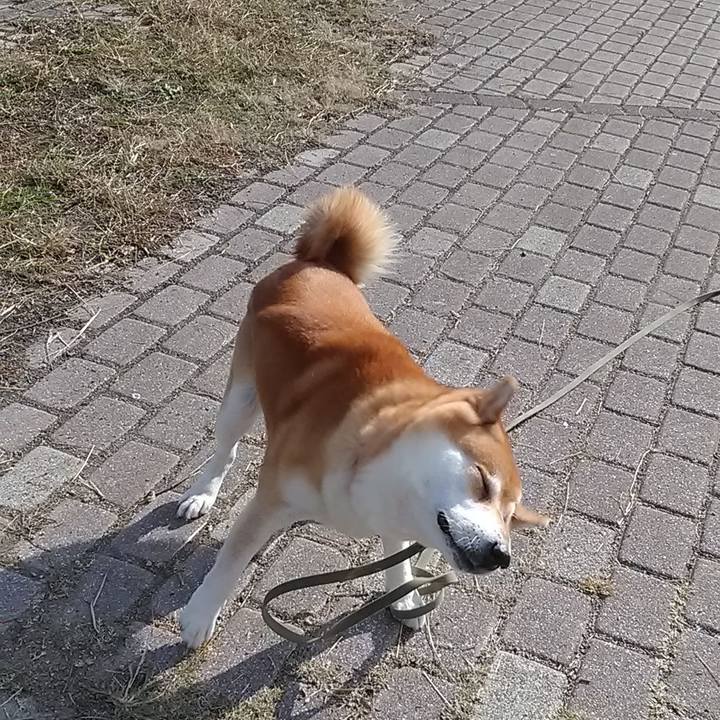 31e1b322 70cd 49ff 8d77 cedc09d843a2 1606386322387