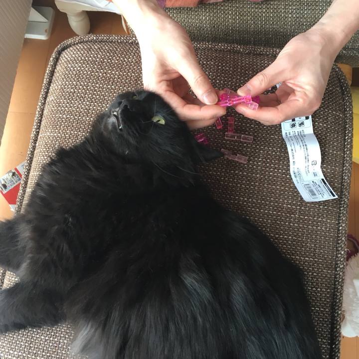 31e1c2b9 f04c 4c97 91b1 a3d59c88f8cd 1524883656949