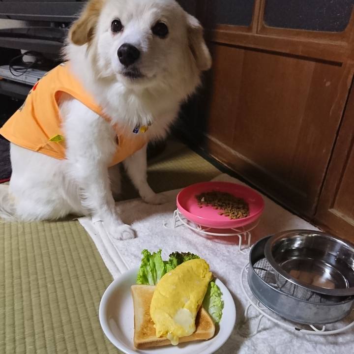 31e1d207 353a 45fe 9dda afae3b9fb223 1549746763548