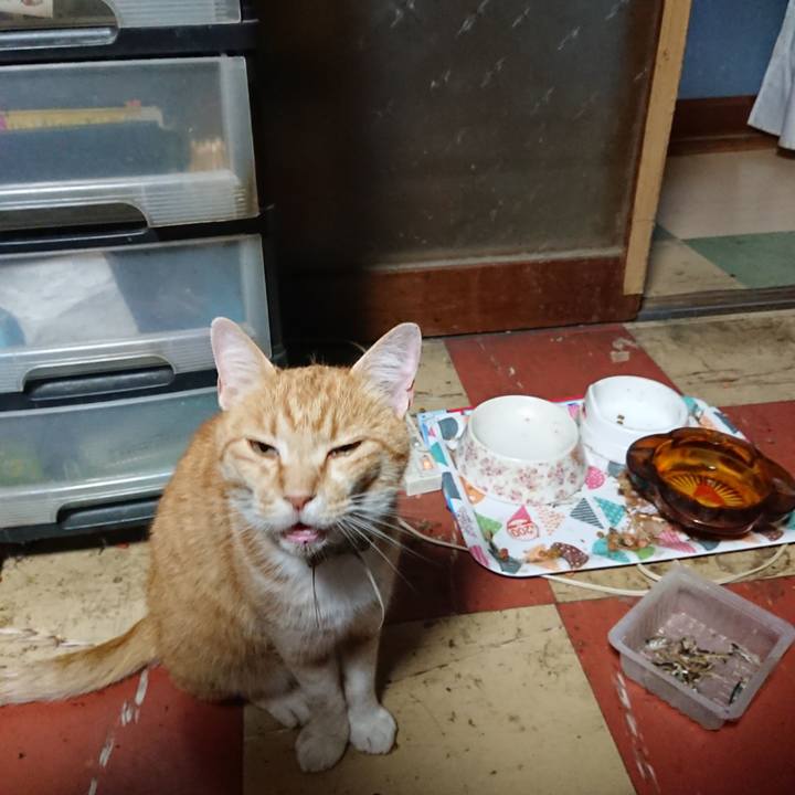 31e1db07 862a 44d5 9fe8 2fbb6d5e0908 1592163472931