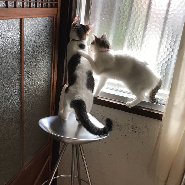 31e1e19b 5ac4 49f7 b318 66b990c9b9a1 1539157292566