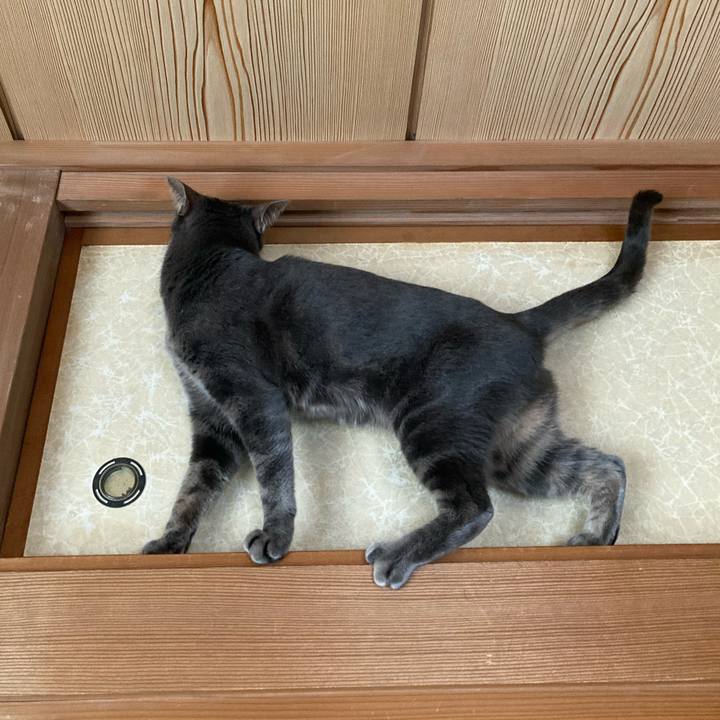 31e1e213 5918 462f 9a3e 52afad50c429 1652596500827