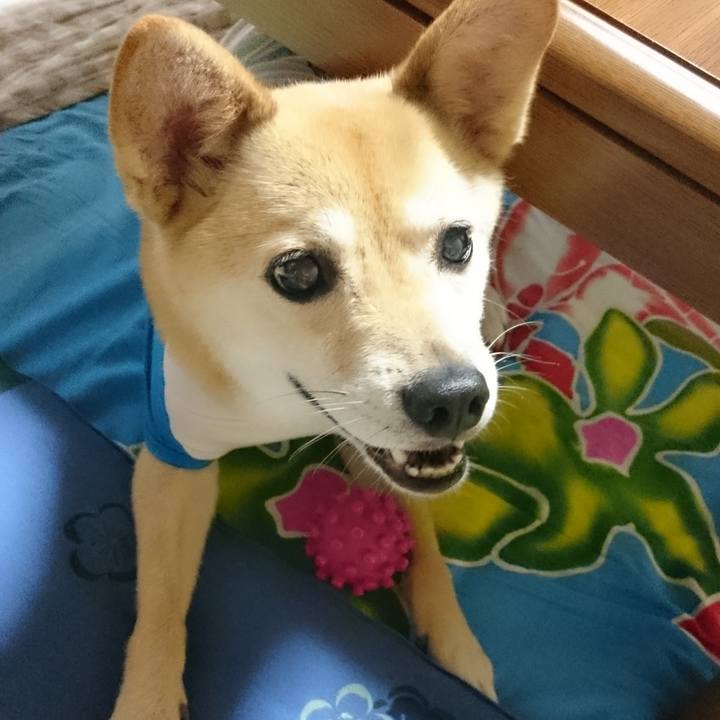 31e231c0 701b 45ef 847d 6b0c1f81ba62 1611387628499