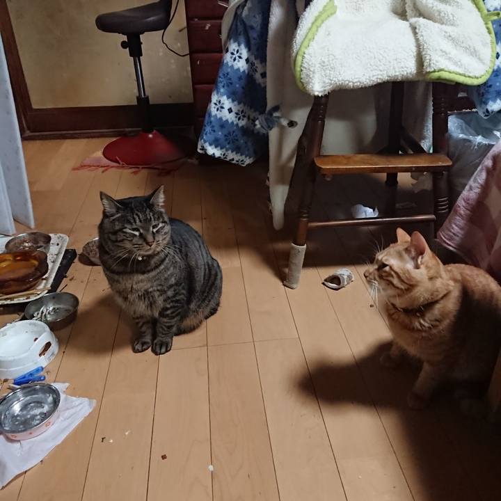 31e23866 7b1f 4db0 8e6a cd8b5ca5dd64 1643800330040