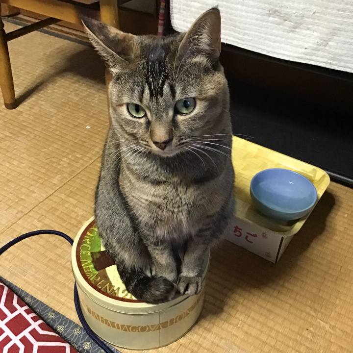 31e25288 7fc8 496e 982e bf614d8db120 1638311306892