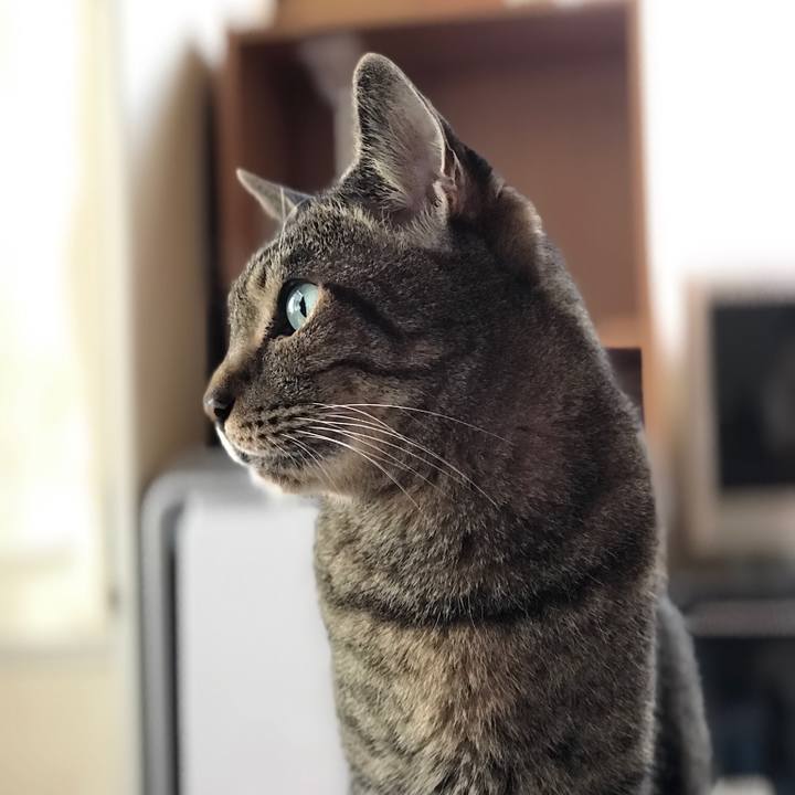 31e26870 6818 4135 8eb7 1f7d39d85f46 1534722822476