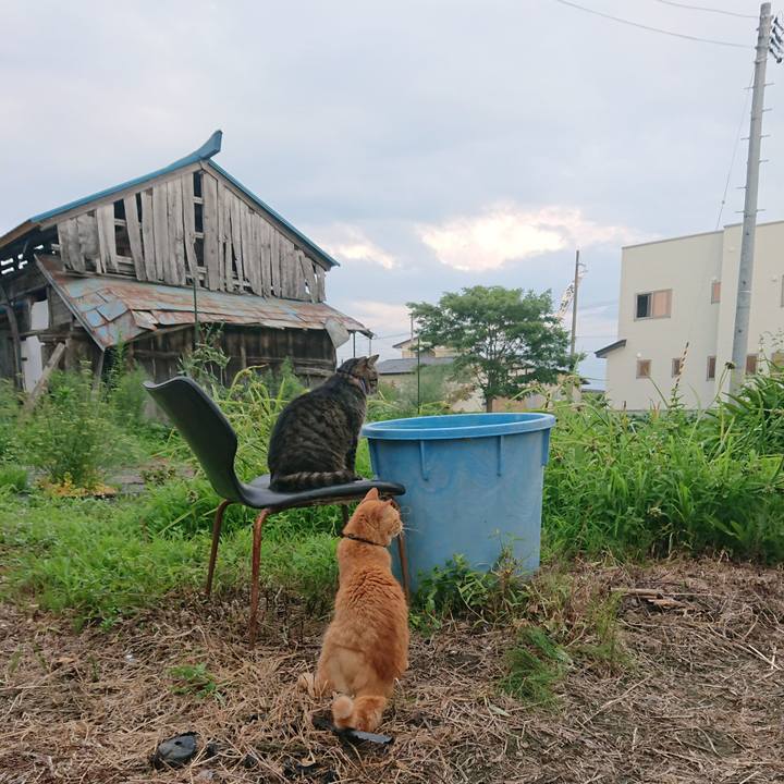 31e2ae76 e591 4584 ba9b 03b26ec9848c 1658911658525