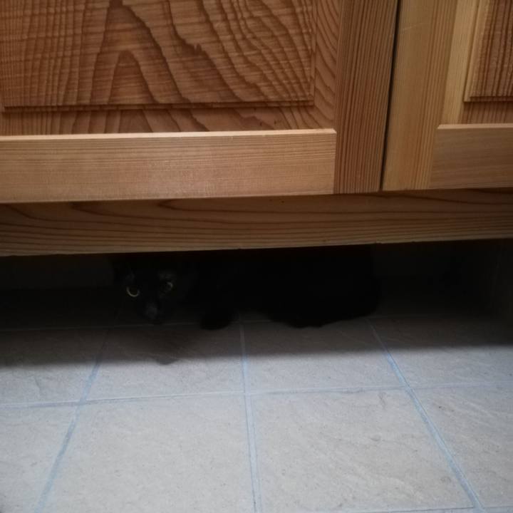 31e30ed7 cc8e 45f2 995c fc4a6cc6eed4 1659307530433