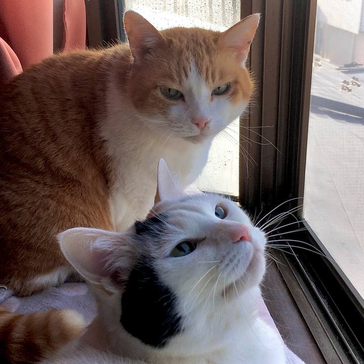 31e30fcc b438 43c0 81c4 85fb2fdf3e64 1615158985045