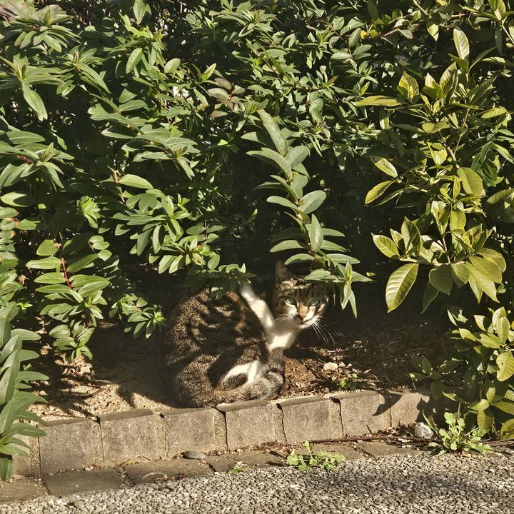 31e3294e 9526 4940 a1e7 77aedf9c8102 1709508057448