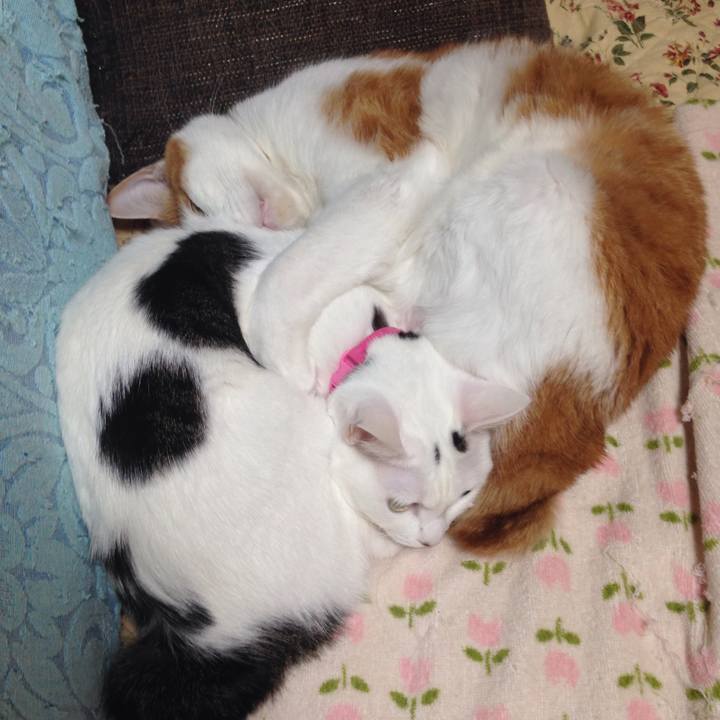 31e36536 6456 42f5 8f7c 9bad69542163 1509880591122