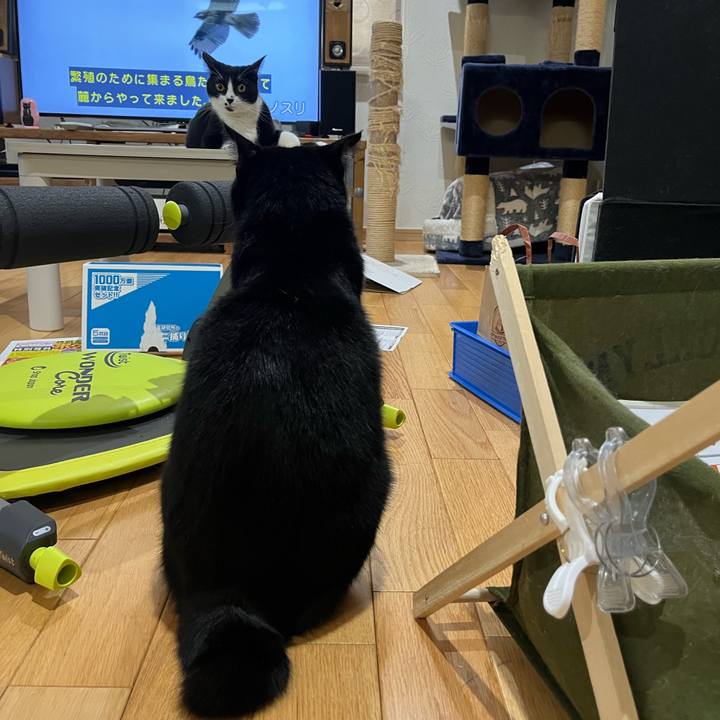 31e36e5f 6341 413a a694 d7f648117954 1693350209624