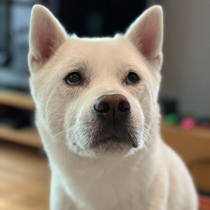 31e3720e cf41 4d04 a307 995078eacfd2 1652712629157