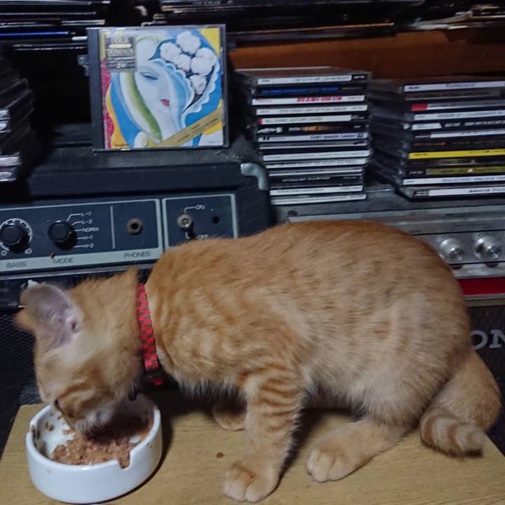 31e38bc7 505e 44d0 afe9 41b6da3af2d2 1632053429025