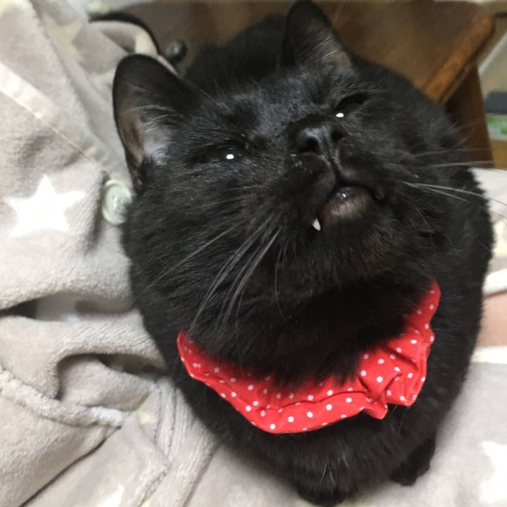 31e39fa0 13c2 4651 aafe 24a641d6d22b 1547548308740