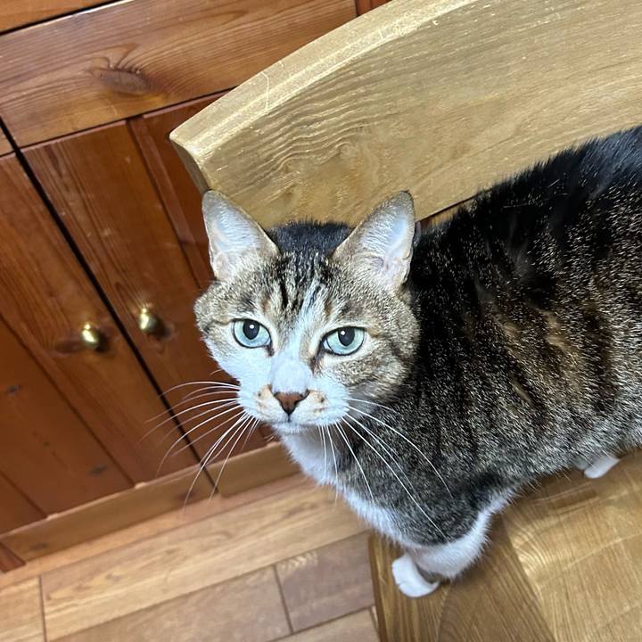 31e3b3fa b73b 4db9 9d13 c0b187d666d3 1680819374671