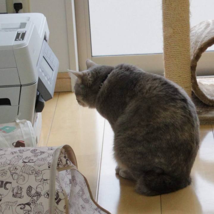 31e3b9ce 4ca6 4a8c 8480 fb75a12cd979 1574929065786