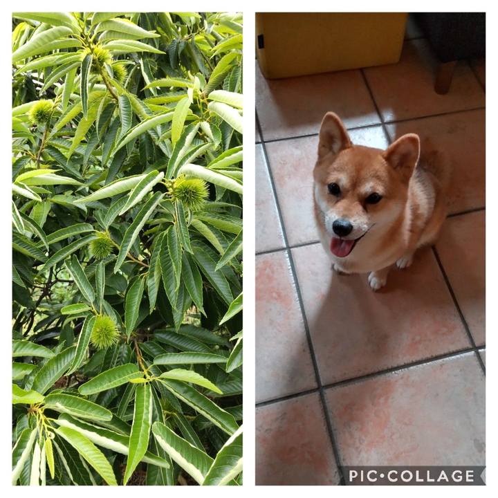 31e3d35e e70a 4bfc bab5 22ea45b1e71e 1656996617568