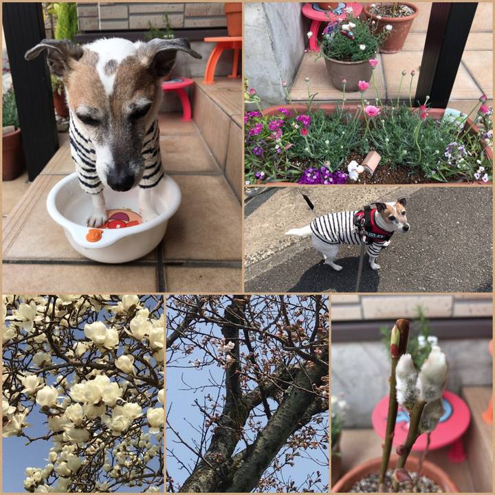 31e3eaa9 86c9 4723 be14 a85f7a974adc 1522119967712