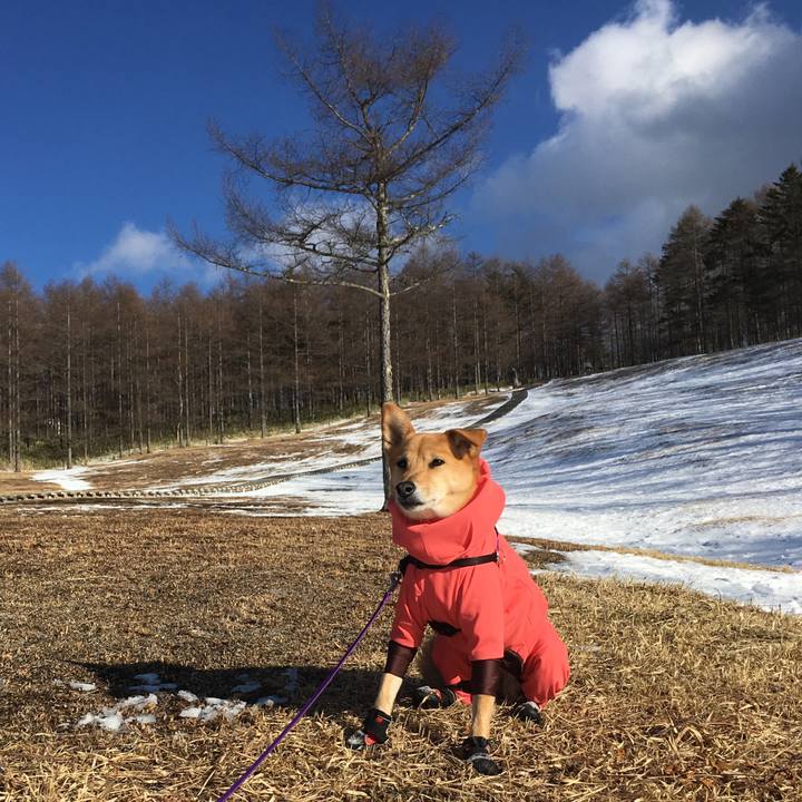 31e4007f 2dd4 42c2 b2c1 b9ce8378d51b 1550054357349