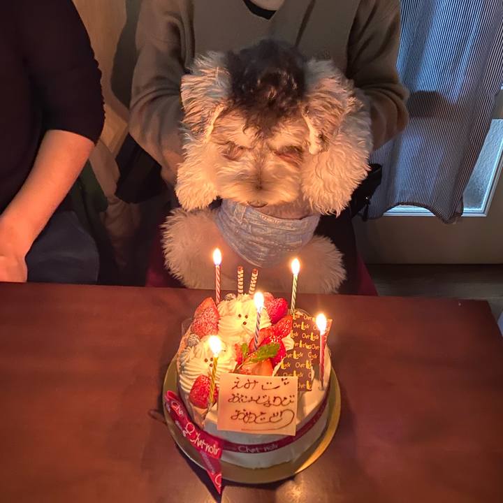 31e4147c c1f7 433d a71a b5944c54d65b 1574868170552