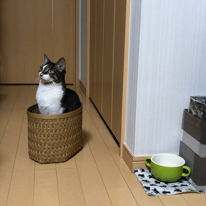 31e41cf7 ad0d 403d afad 107bf9628ed5 1554405569729