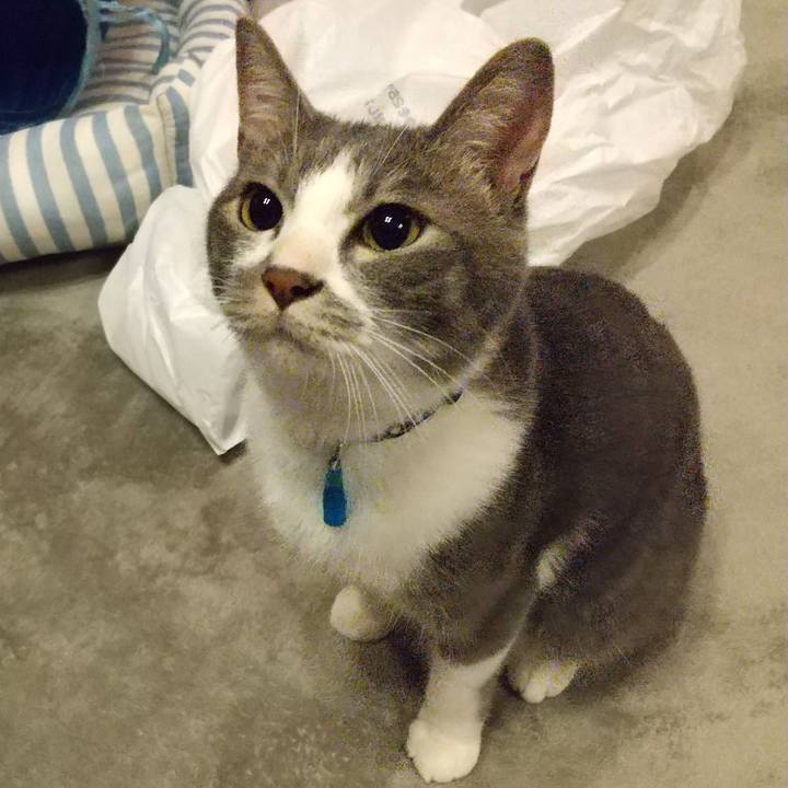 31e42932 bd8a 4f37 972e 8521a359df4e 1597762134595