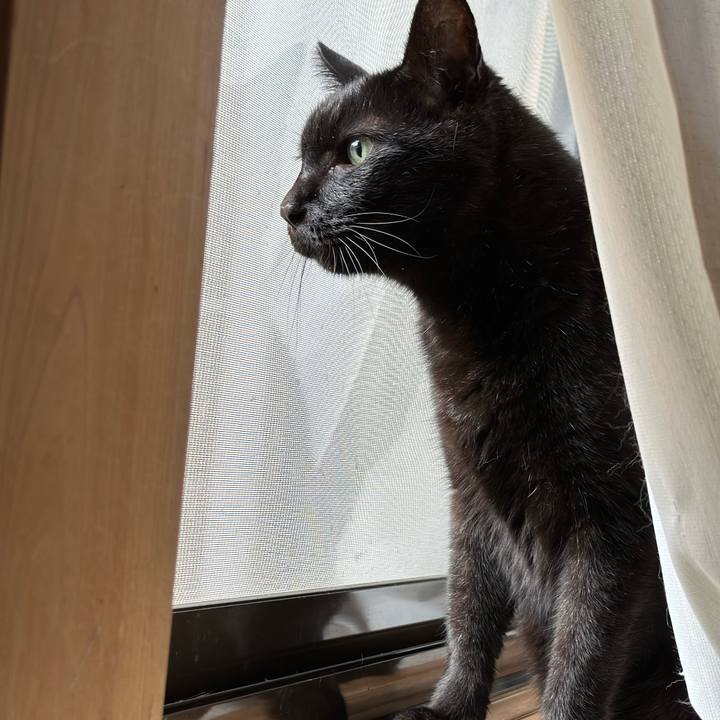 31e44450 2a5e 49d1 bf6c 3693d85be3e1 1665193569571