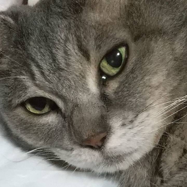 31e47a5c 6514 4b1a a24a 6607031bffe8 1662213580720