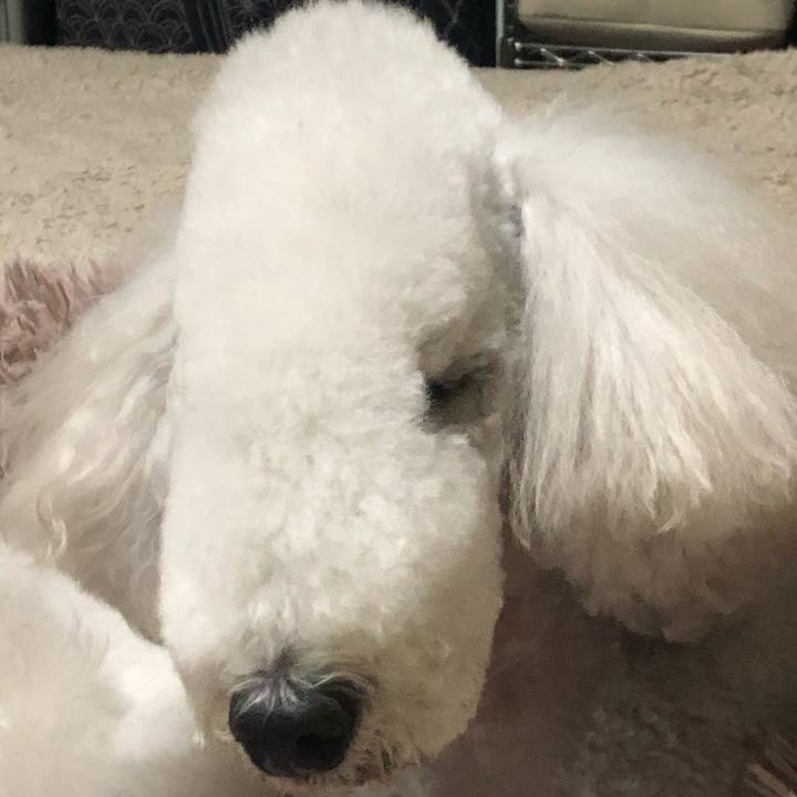 31e497be 327d 4efa a4d0 42864f1f710f 1673162804570