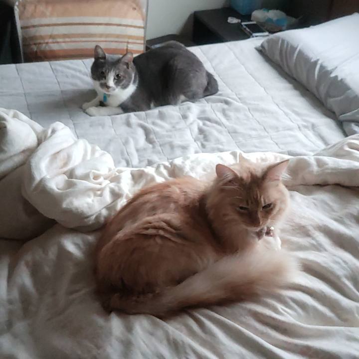 31e4a6ae df4e 4aff 9b3d e24d7ff9de5e 1665006723234