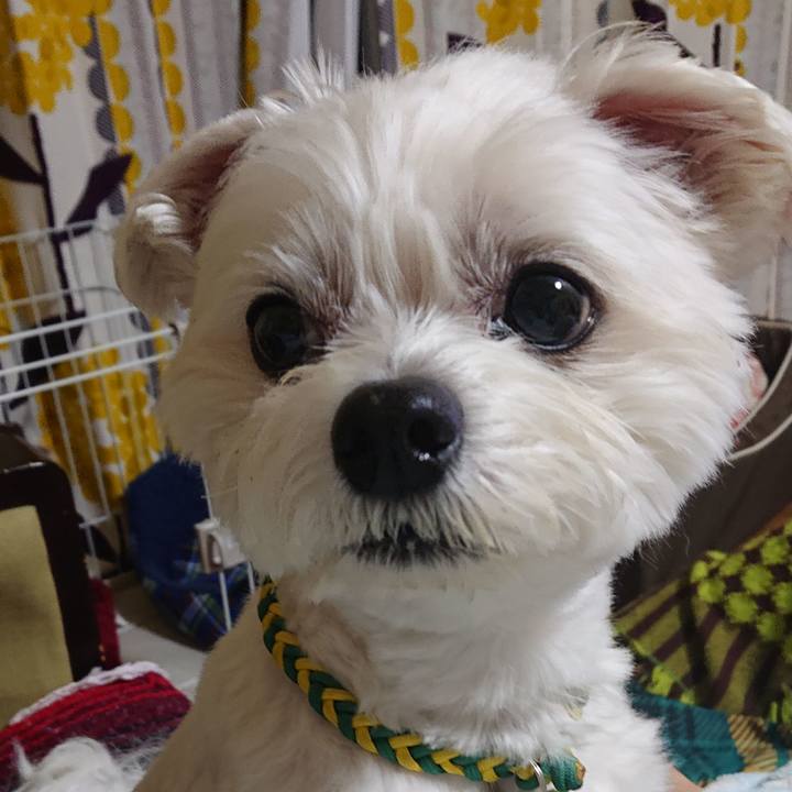 31e501e2 7d02 46ec 9195 dfe07a7975f5 1581860746775