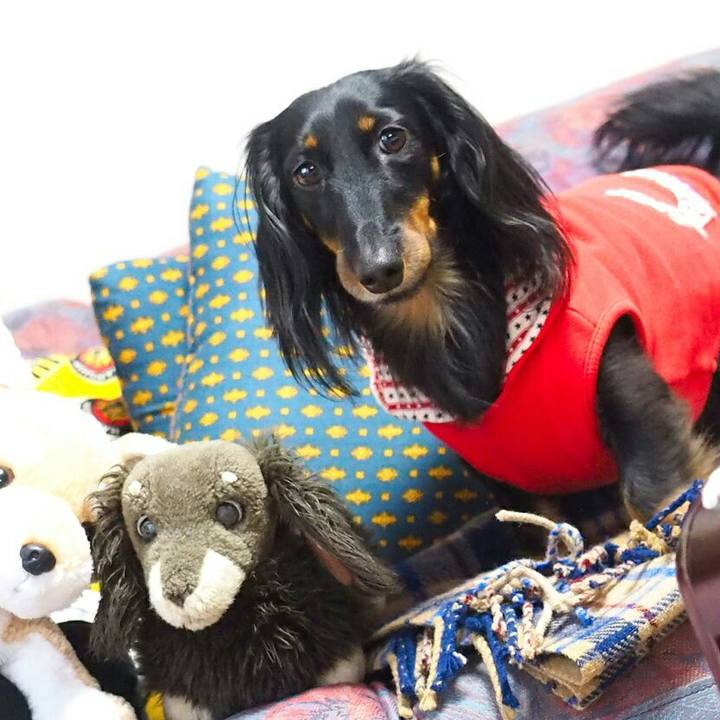 31e50452 c34e 4c7c 9974 f3fd276556dc 1511924662538